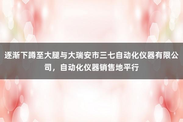 逐渐下蹲至大腿与大瑞安市三七自动化仪器有限公司,自动化仪器销售地平行