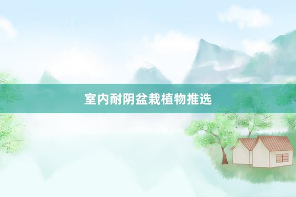室内耐阴盆栽植物推选