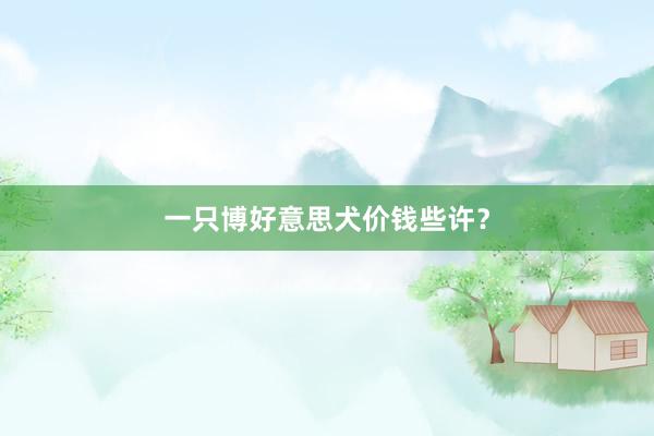 一只博好意思犬价钱些许？
