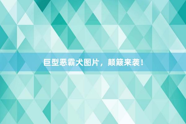 巨型恶霸犬图片,颠簸来袭!